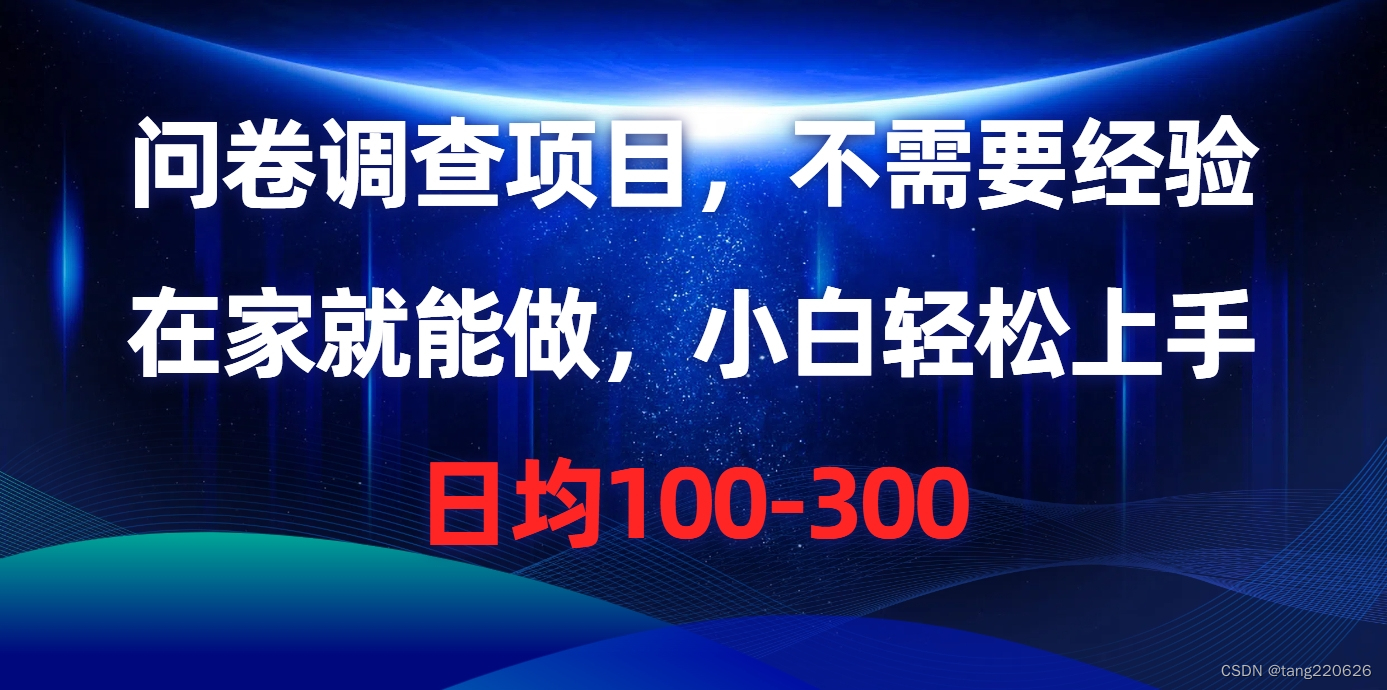 在家轻松挣钱：深入解析问卷调查项目