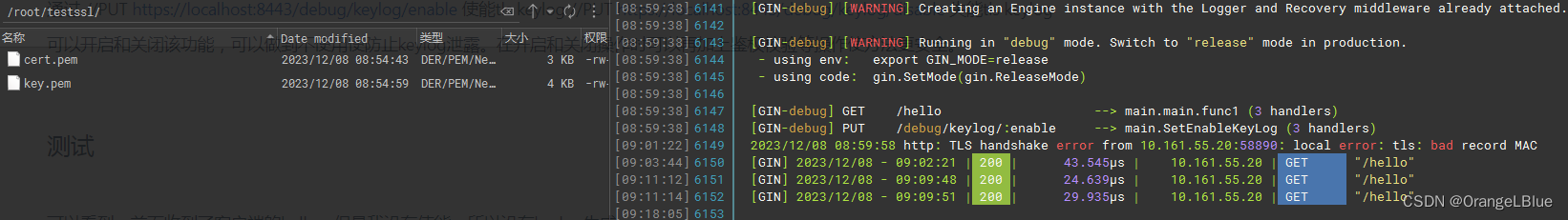 golang <span style='color:red;'>https</span> server如何设计方便<span style='color:red;'>抓</span><span style='color:red;'>包</span>定位且<span style='color:red;'>安全</span>