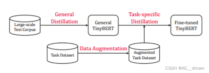 (BERT蒸馏)TinyBERT: Distilling BERT for Natural Language Understanding