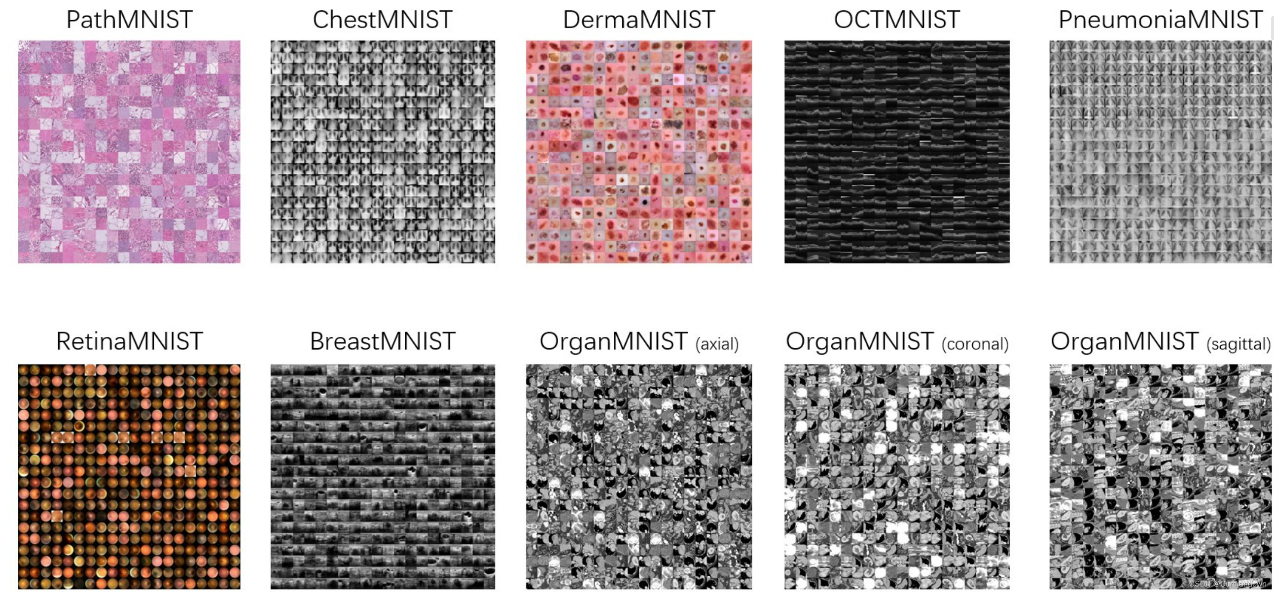 medmnist