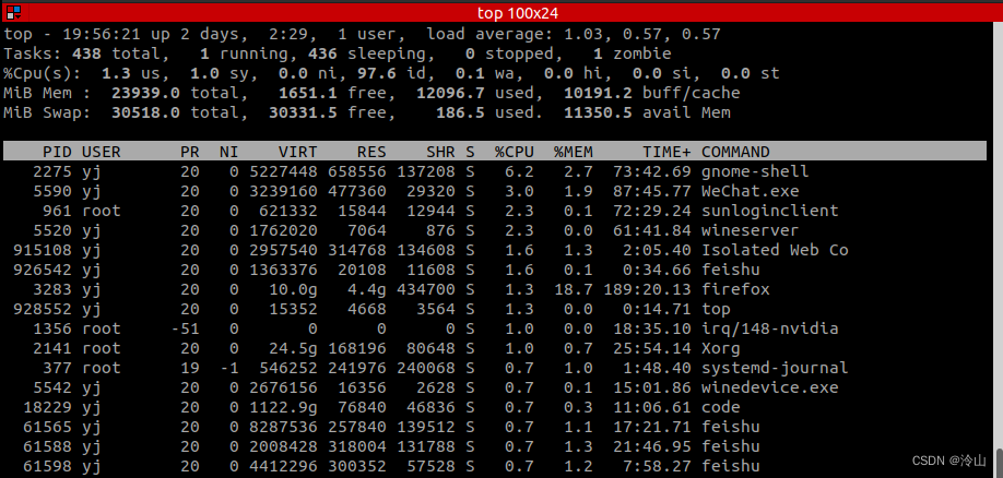 Linux <span style='color:red;'>命令</span> —— <span style='color:red;'>top</span>