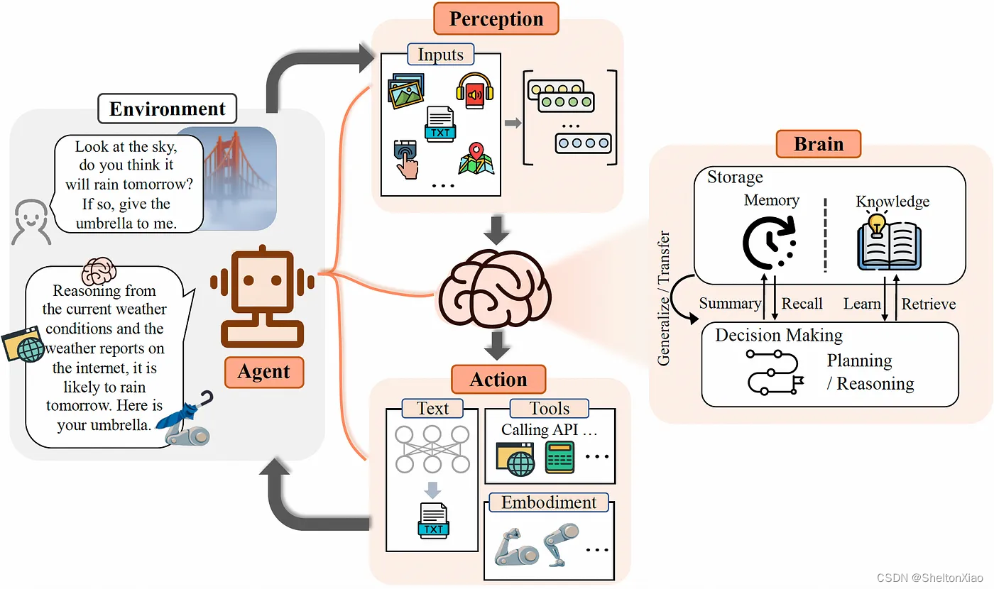 Conceptual framework of LLM-based agent with three components: brain, perception, and
action