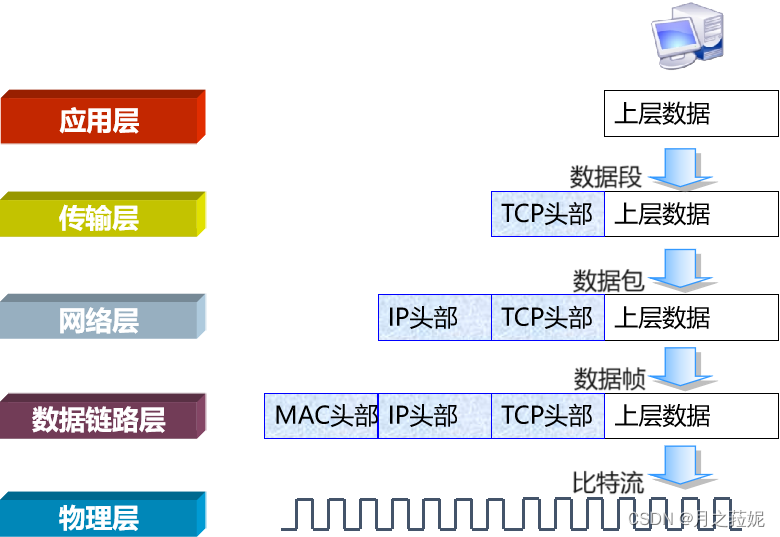 Day <span style='color:red;'>14</span> <span style='color:red;'>网络</span><span style='color:red;'>协议</span>