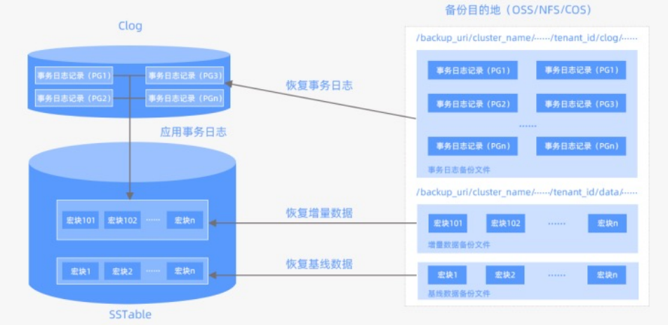 OB SQL引擎和存储引擎