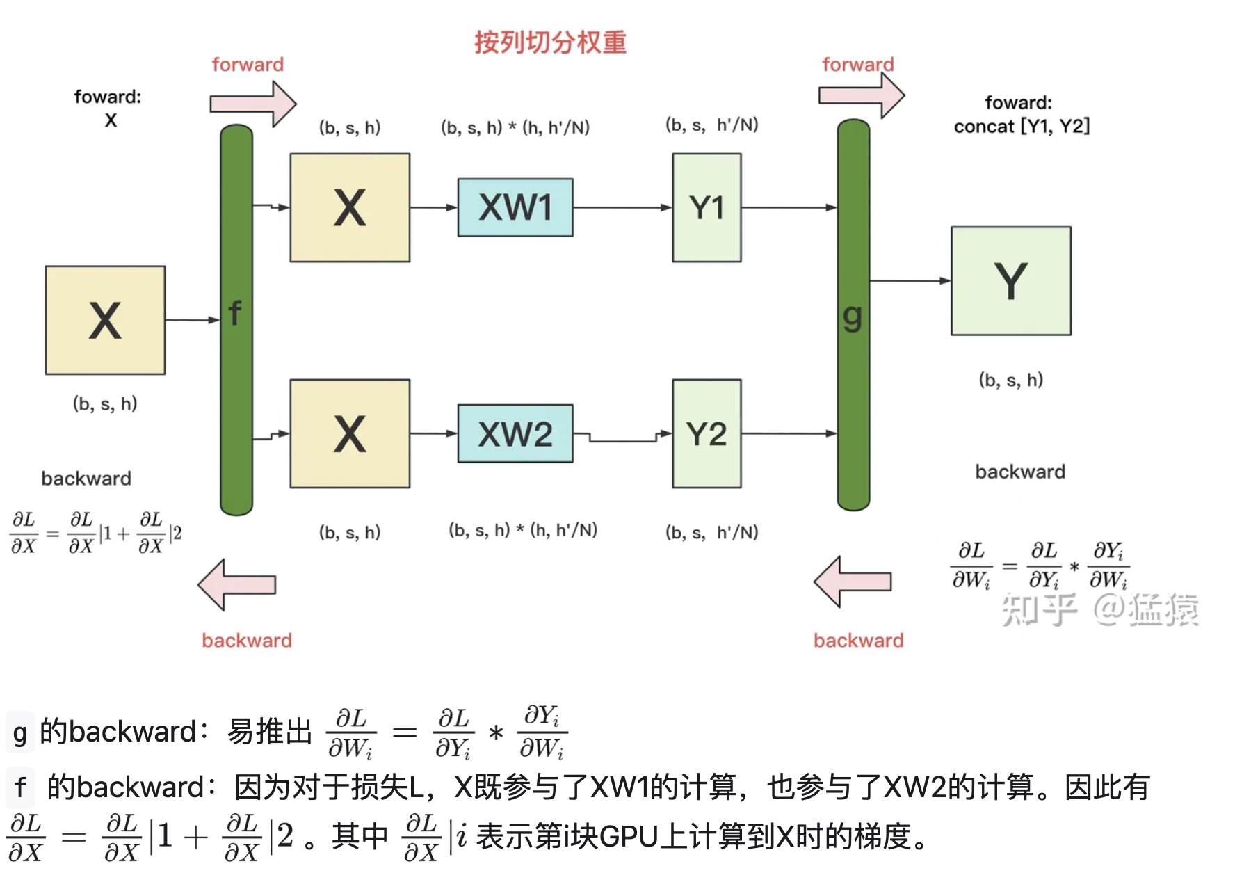 数据并行 dp ddp zero