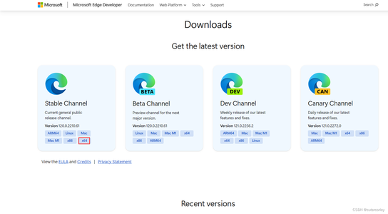 Windows使用selenium操作Edge浏览器实现爬虫_edge selenium