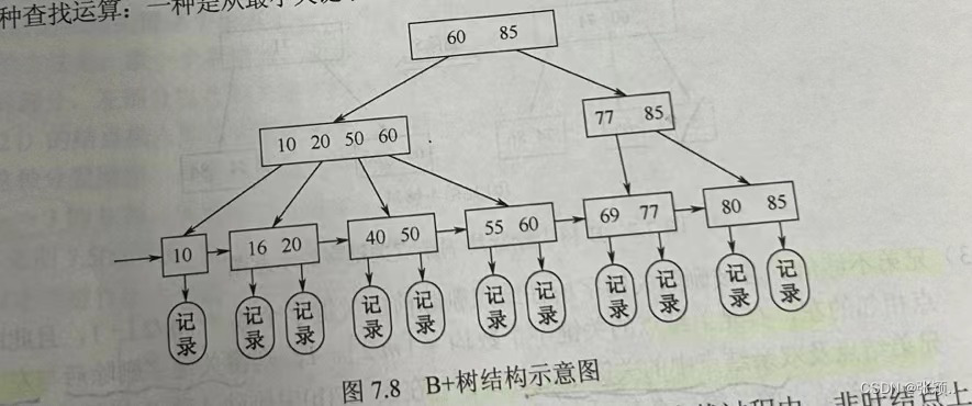 B+树示例