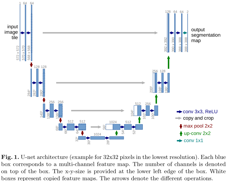 U-Net: Convolutional Networks for Biomedical Image Segmentation--论文笔记