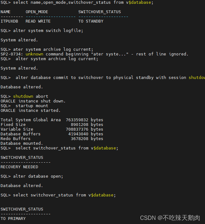 oracle19c静默安装单实例adg,安装补丁，补丁回退_oracle19c 补丁安装CSDN博客