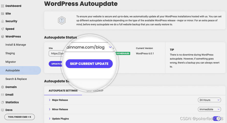 SiteGround如何设置WordPress网站自动更新