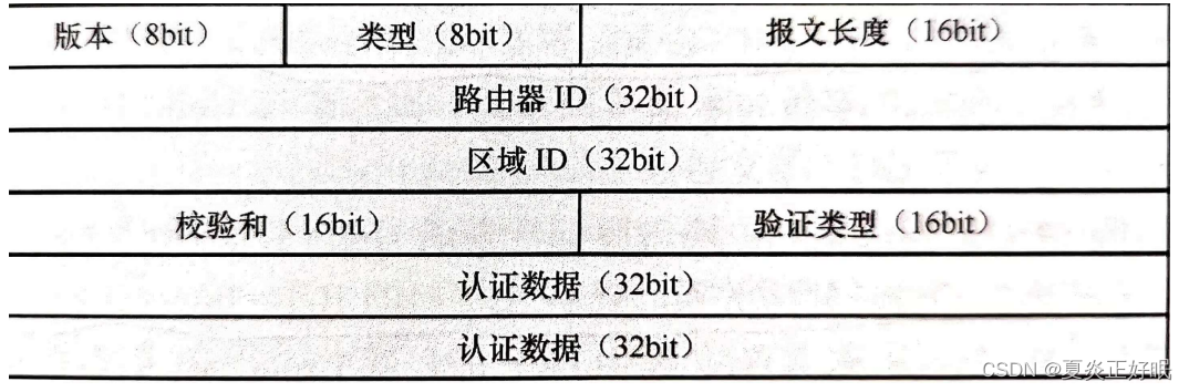 OSPF数据报文格式