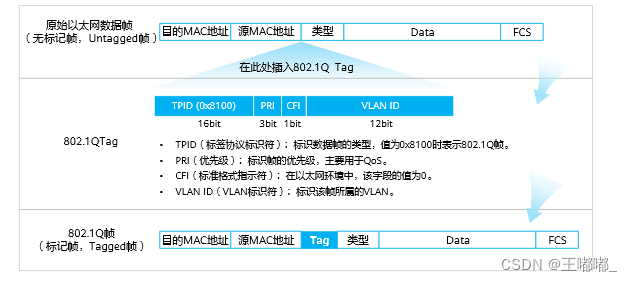 <span style='color:red;'>VLAN</span><span style='color:red;'>原理</span><span style='color:red;'>与</span>配置