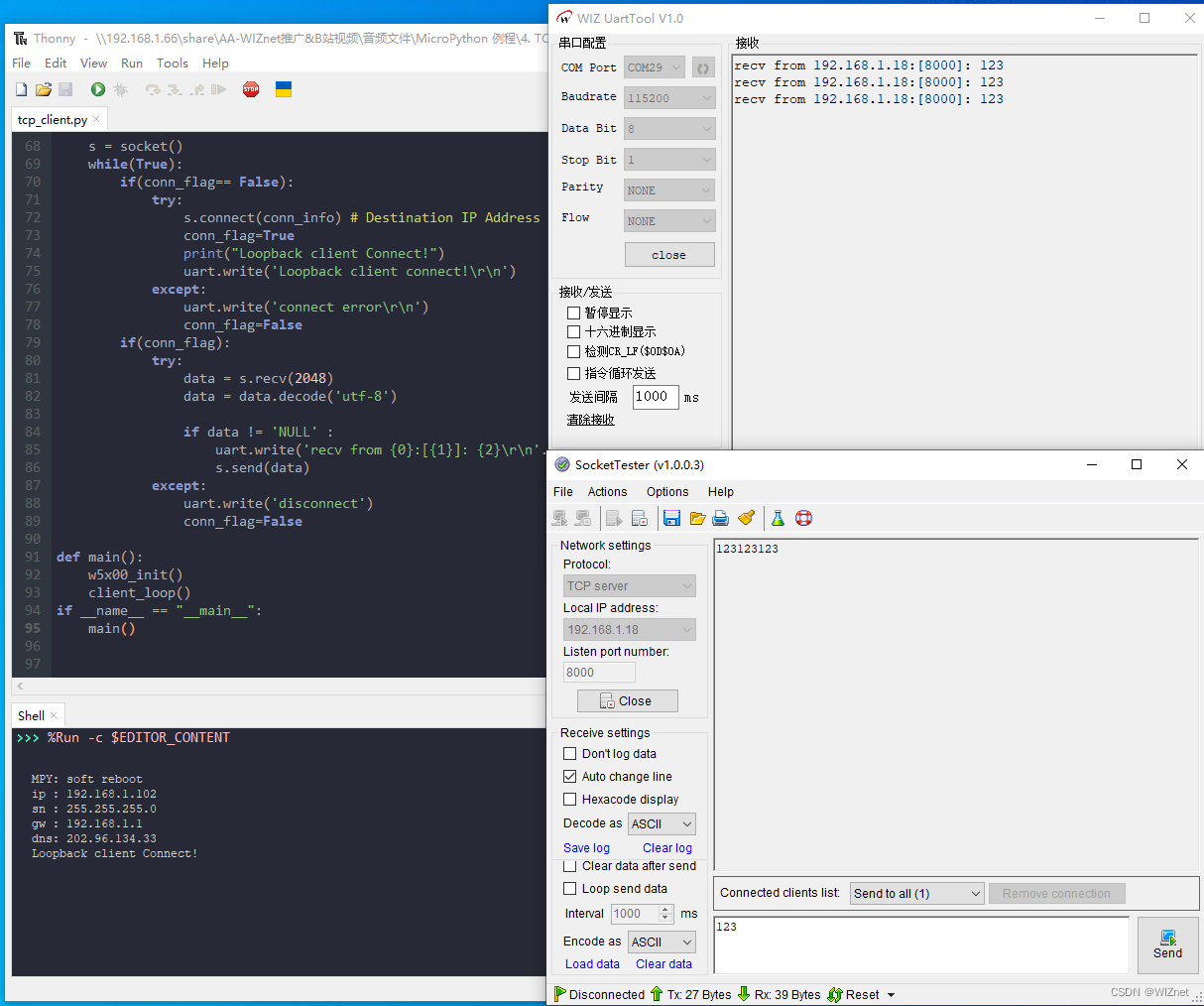 四、W5100S/W5500+RP2040之MicroPython开发＜TCP Client示例＞