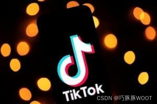 TikTok动态展示广告是什么？