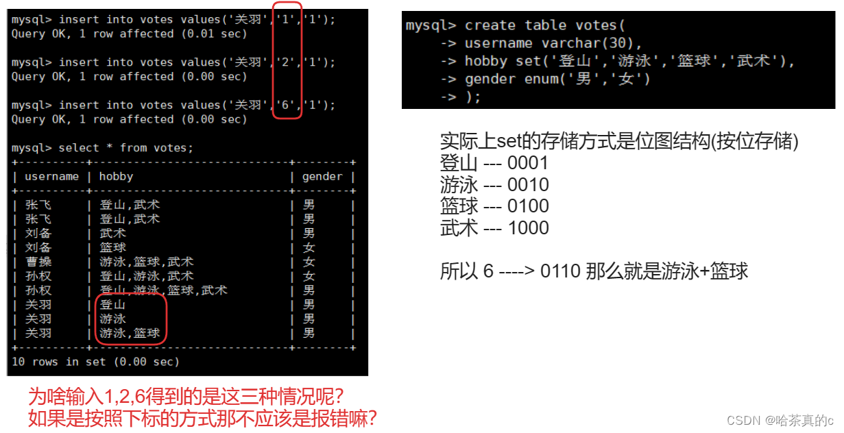 【MySQL】5. 数据类型