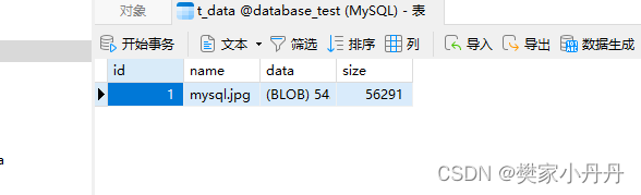 C++ 二进制图片的读取和blob插入mysql_stmt_init—新年第一课