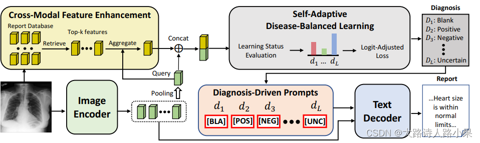 PromptMRG(上—背景介绍): Diagnosis-Driven Prompts for Medical Report Generation