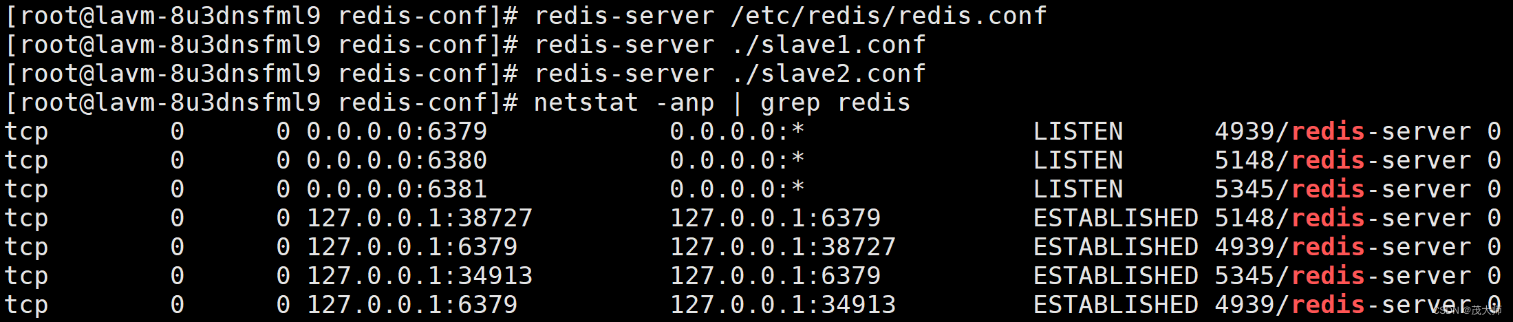 2023.1.21 关于 Redis 主从复制详解