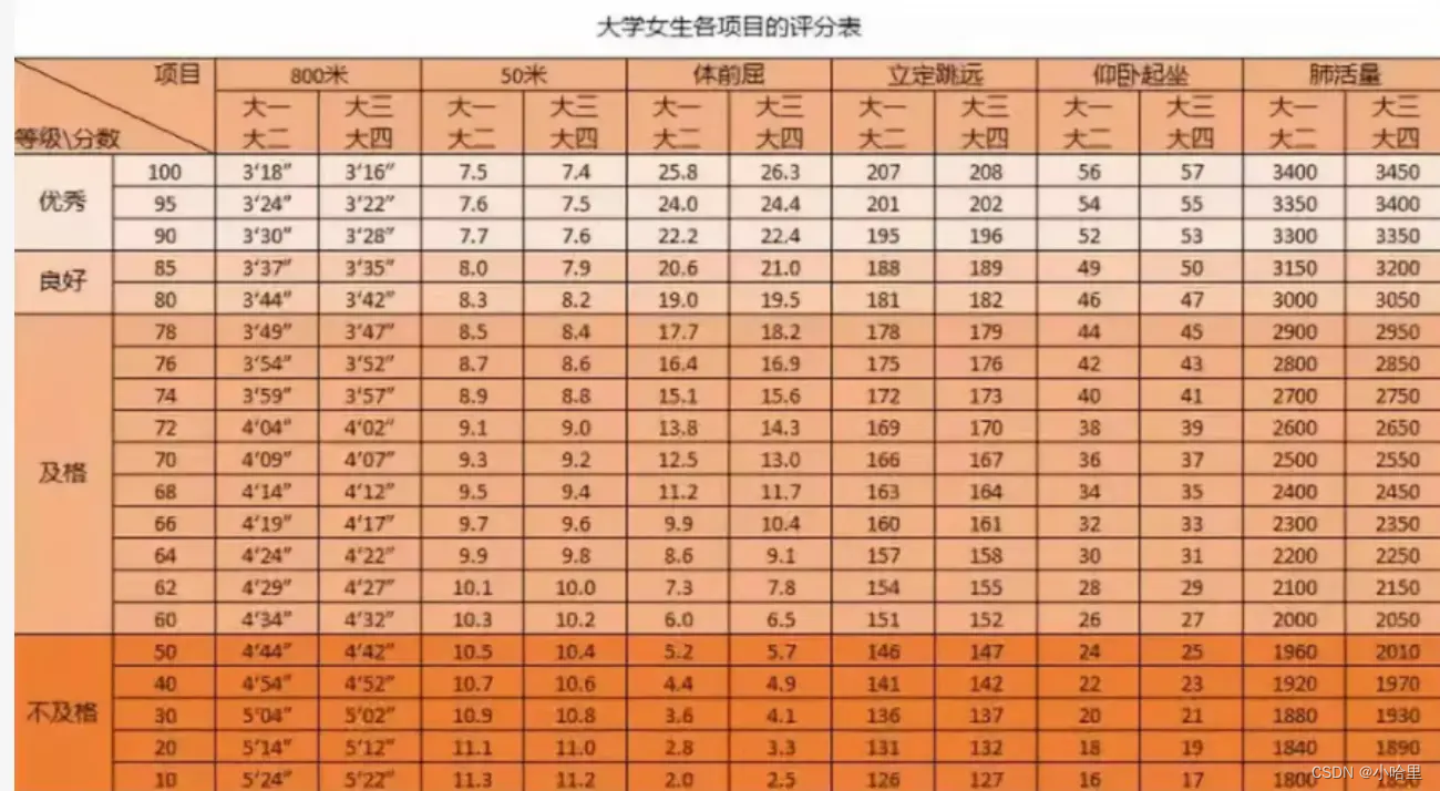 【体育】体育锻炼之体能耐力、户外运动、中华武术（附大学生体质健康标准）