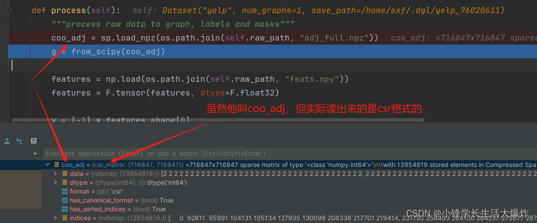 【知识】DGL中graph默认的稀疏矩阵格式和coo格式不对的坑