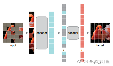 从ViT到MAE，transformer架构改造Autoencoder