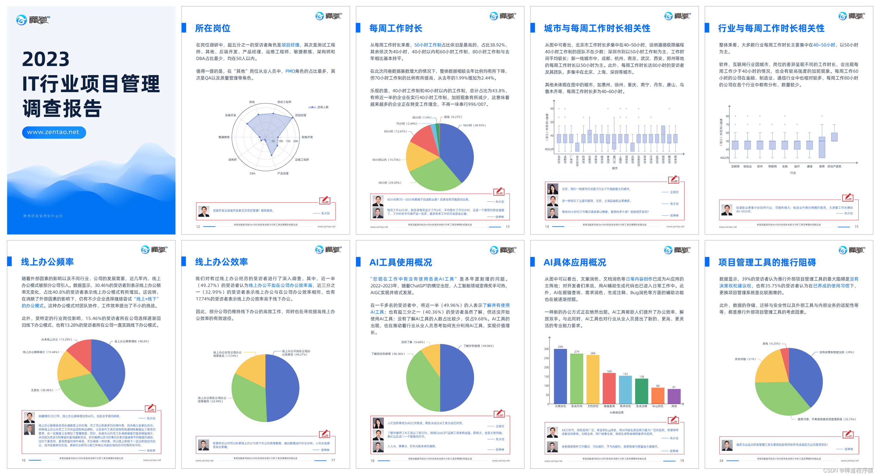 禅道2023 IT行业项目管理调查报告