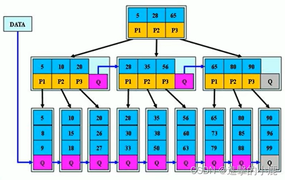 数据结构之树结构（下）