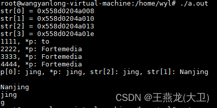 c 语言中的数组和指针