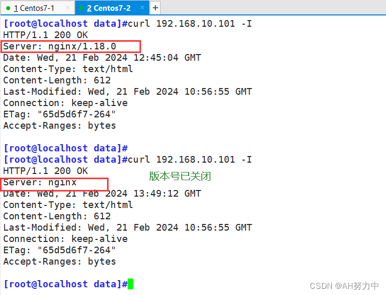 Nginx----高性能的WEB服务端