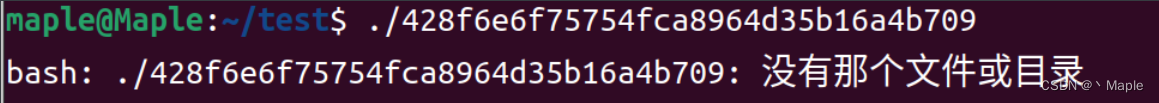 【已解决】Ubuntu64位无法运行32位ELF文件的问题