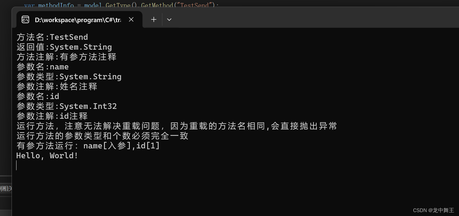 C# 反射的终点：Type,MethodInfo,PropertyInfo,ParameterInfo,Summry