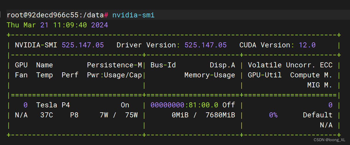 docker方式进行pytorch多机多卡分布式训练