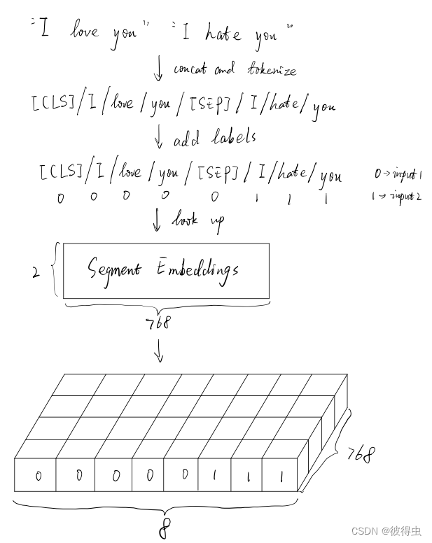 Segment Embedding