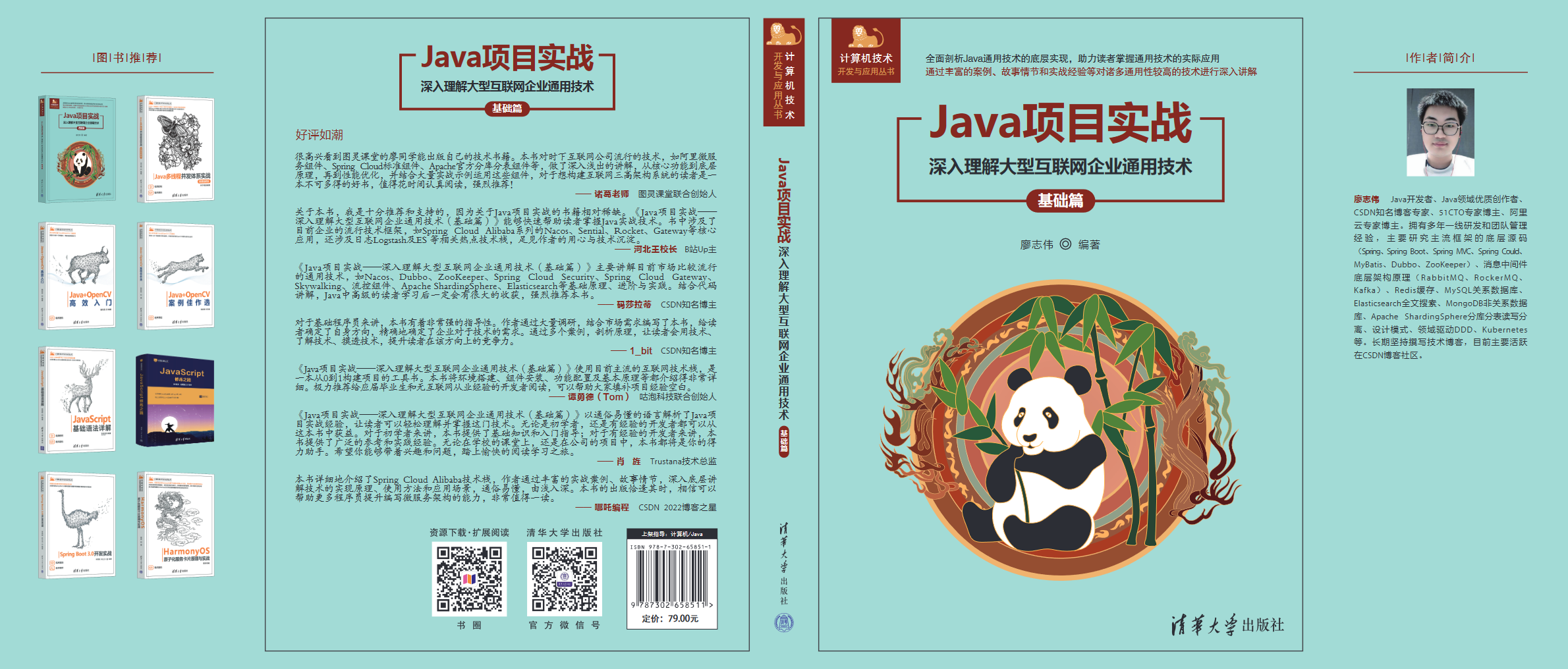 Java项目实战——深入理解大型互联网企业通用技术（基础篇）（计算机技术开发与应用丛书）