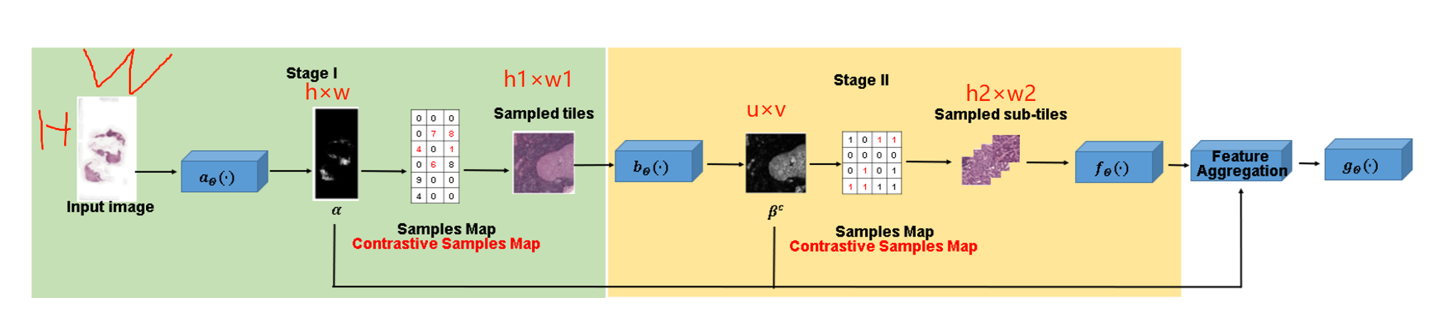 Efficient Classification of Very Large Images with Tiny Objects（CVPR2022补1）