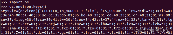 Python中os.environ<span style='color:red;'>基本</span><span style='color:red;'>介绍</span><span style='color:red;'>及</span><span style='color:red;'>使用</span><span style='color:red;'>方法</span>