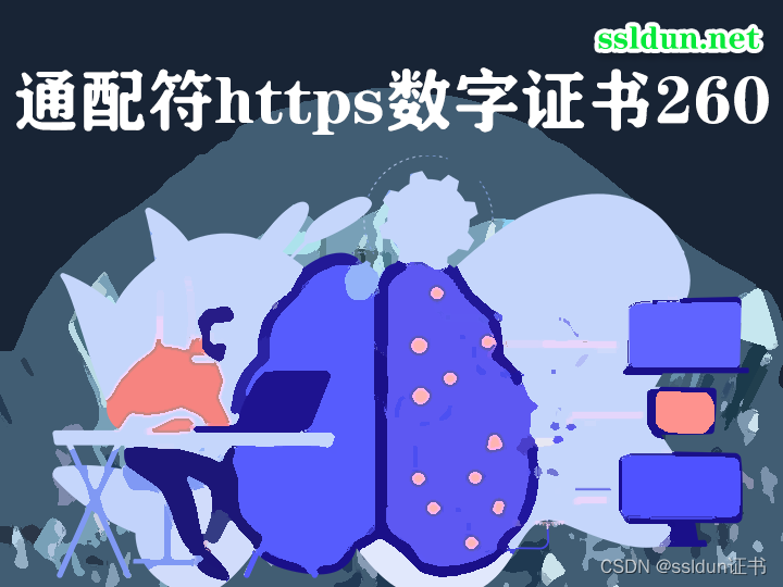 通配符https数字证书260