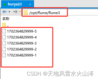 二百一十五、Flume——Flume拓扑结构之复制和多路复用的开发案例（亲测，附截图）