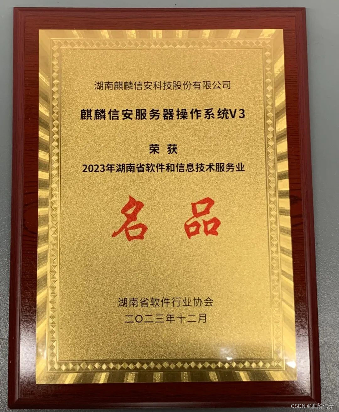 麒麟信安服务器操作系统荣获 “2023年湖南省软件和信息技术服务业名品”