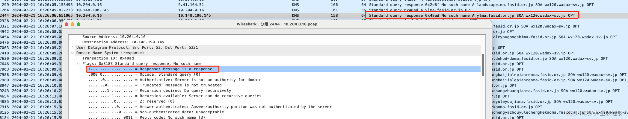 Wireshark过滤DNS协议包语法实战