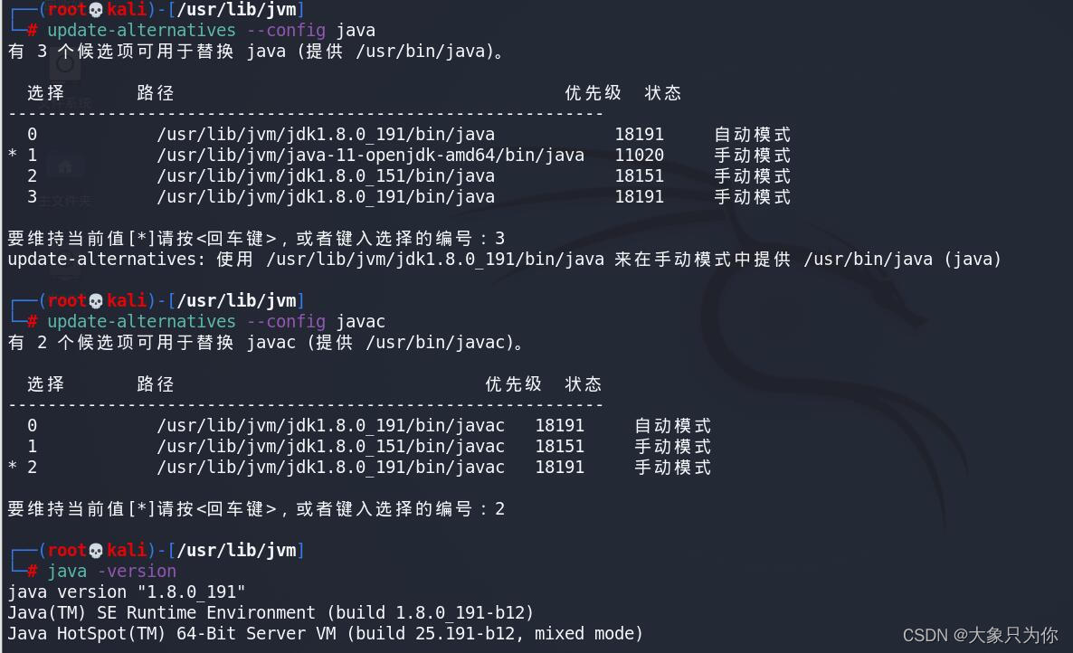 kali系统下多版本JDK共存