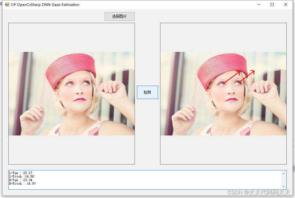 C# OpenCvSharp DNN Gaze Estimation 视线估计