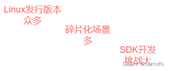 Linux <span style='color:red;'>音</span><span style='color:red;'>视频</span><span style='color:red;'>SDK</span>开发实践