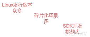 <span style='color:red;'>Linux</span> <span style='color:red;'>音</span><span style='color:red;'>视频</span>SDK开发实践