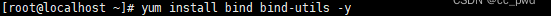 Centos<span style='color:red;'>7</span> <span style='color:red;'>配置</span> <span style='color:red;'>DNS</span>服务器