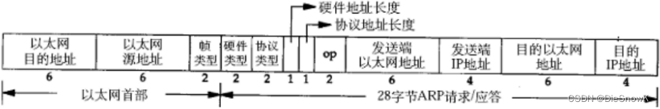 [Linux][网络][数据链路层][二][MTU][ARP协议]详细讲解