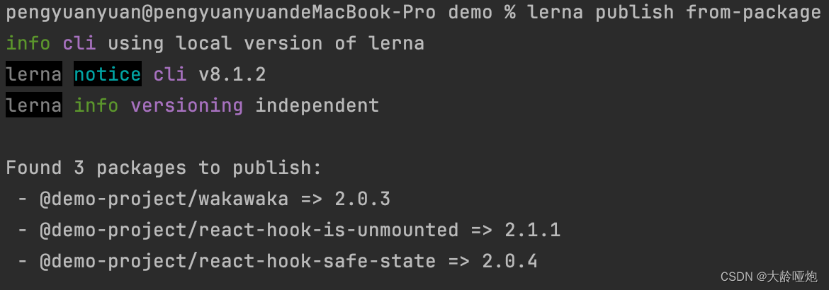 lerna publish from-package