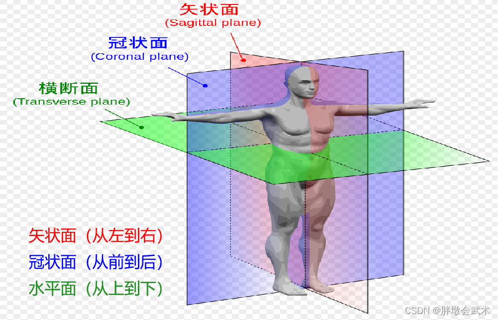 基于深度卷积神经网络的图像配准（DeepSlice）