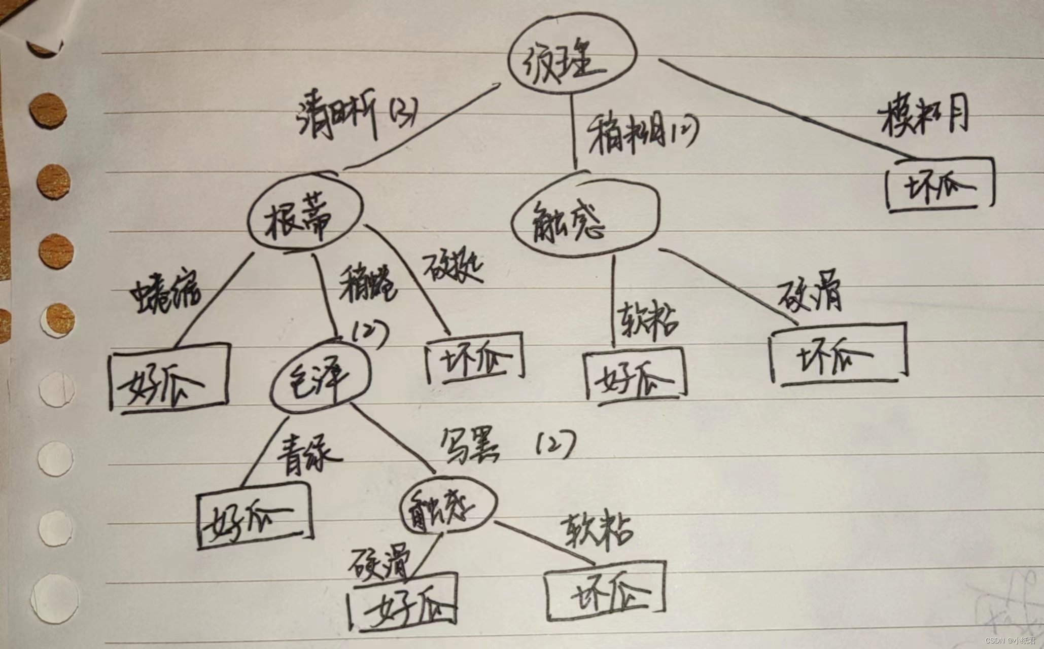 机器学习——编程实现从零构造训练集的决策树