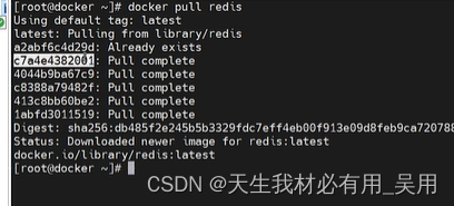 Docker镜像，什么是Docker镜像，Docker基本常用命令